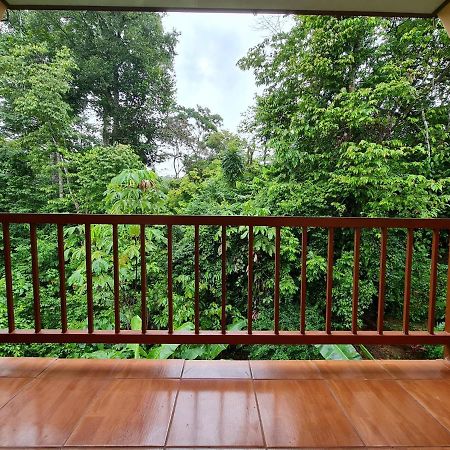 Ceiba Lodge Drake Bay Bagian luar foto