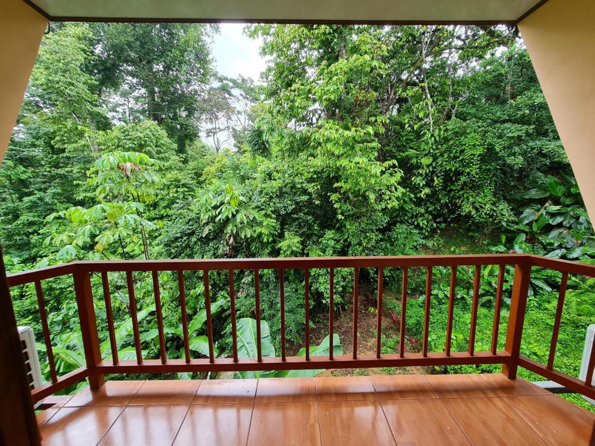 Ceiba Lodge Drake Bay Bagian luar foto