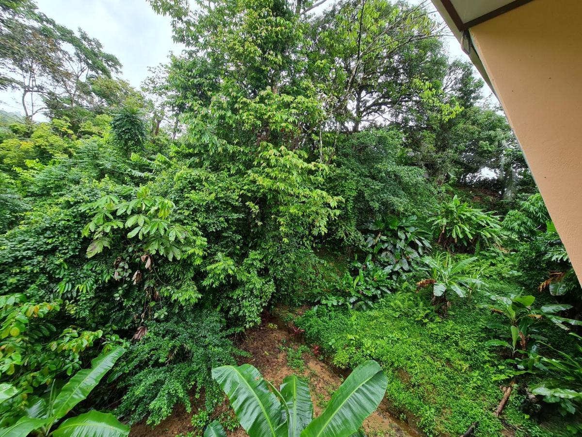 Ceiba Lodge Drake Bay Bagian luar foto