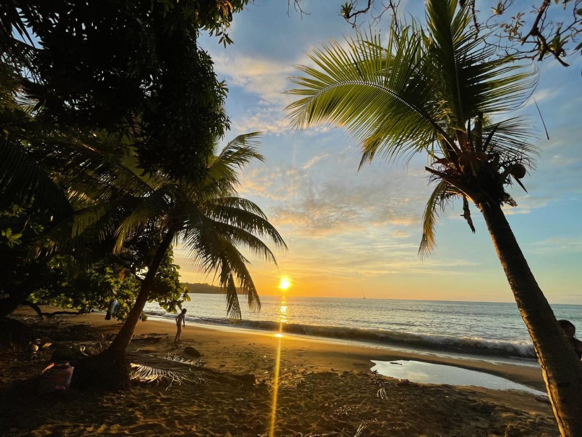 Ceiba Lodge Drake Bay Bagian luar foto