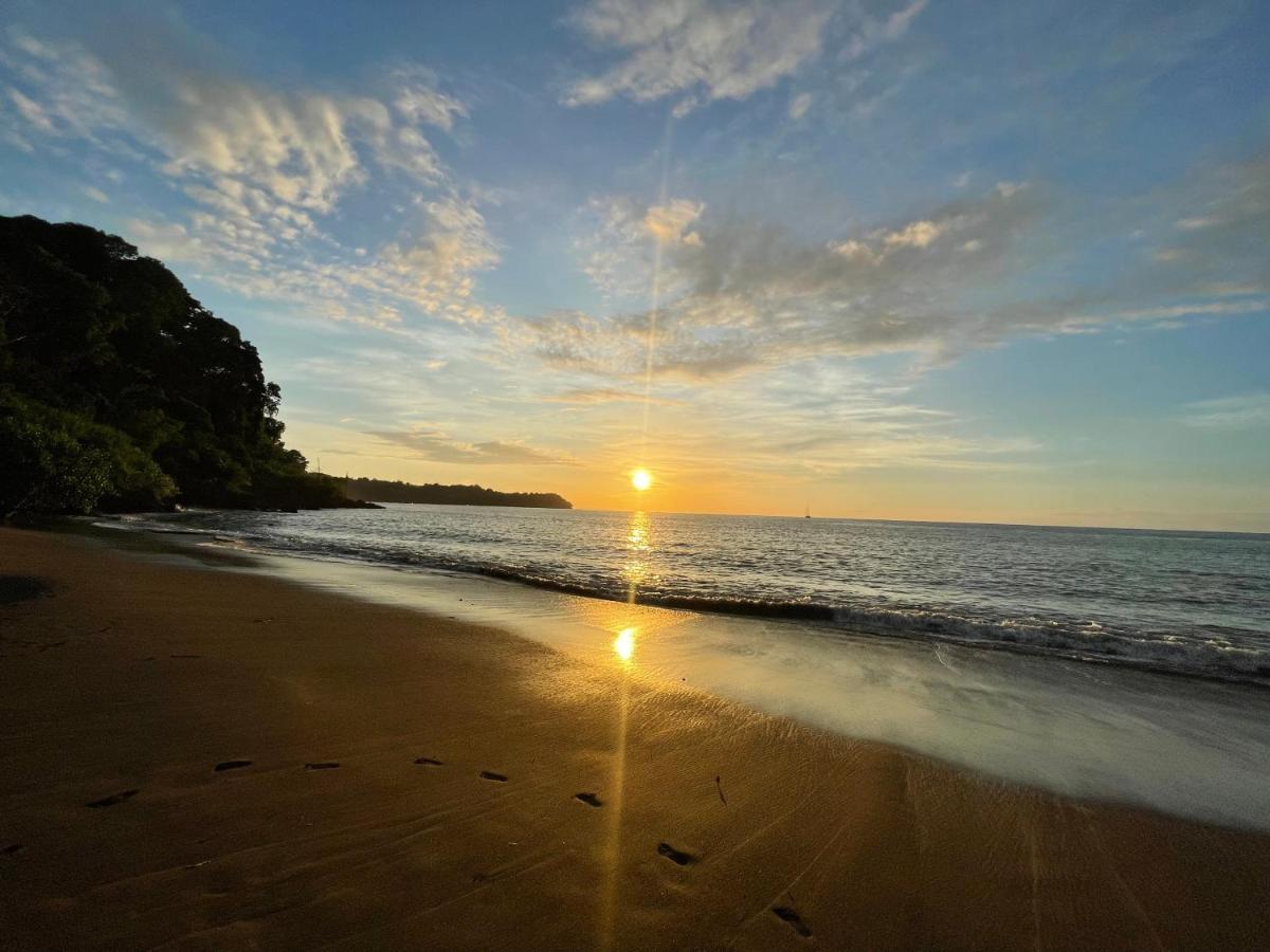 Ceiba Lodge Drake Bay Bagian luar foto