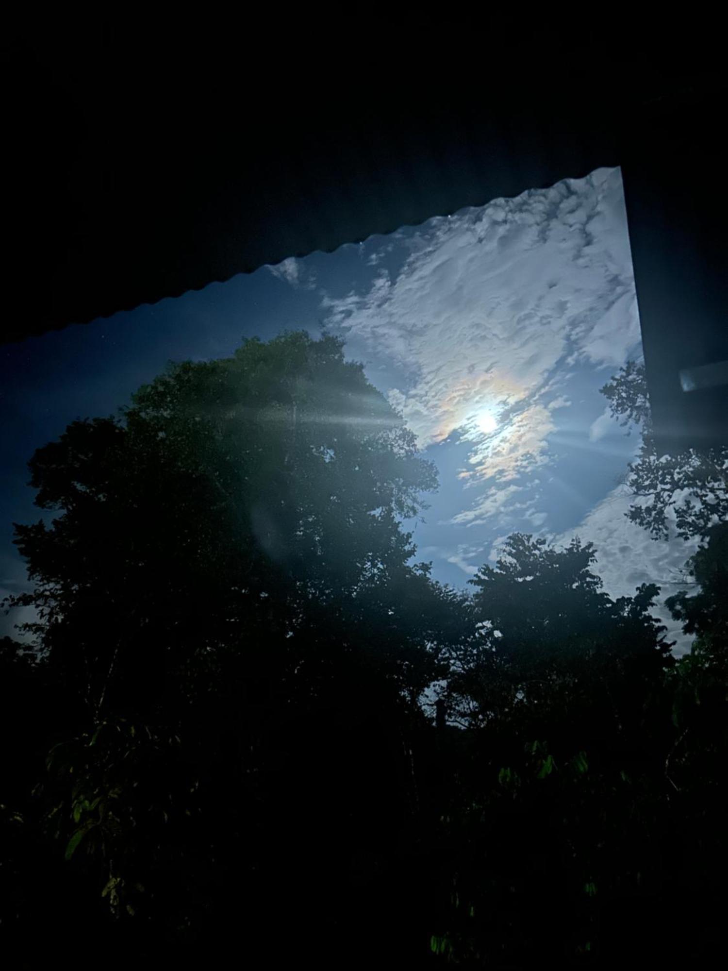 Ceiba Lodge Drake Bay Bagian luar foto